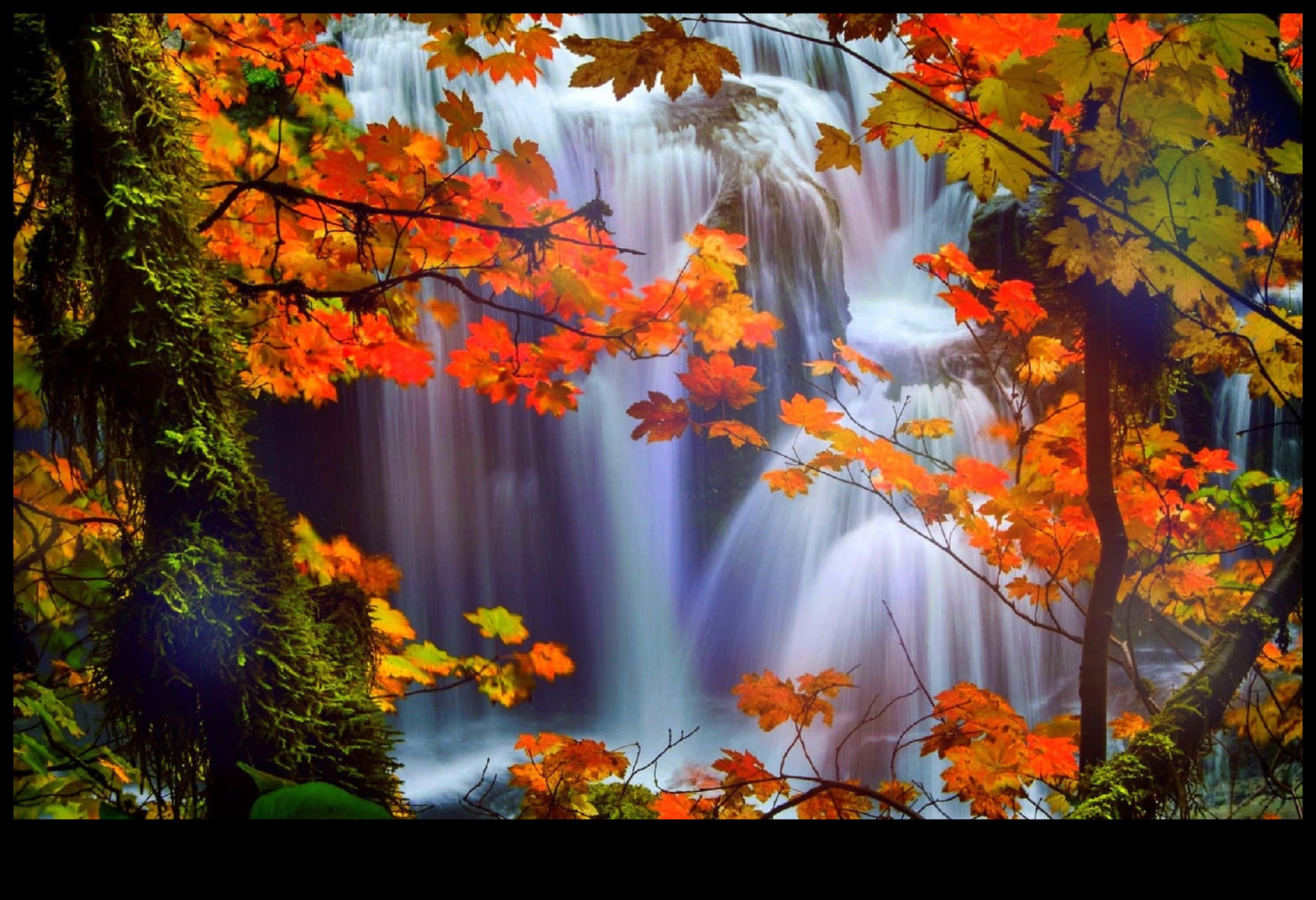 הילות סתיו: לכידת את חמימות הסתיו עם סגנונות צילום עונתיים