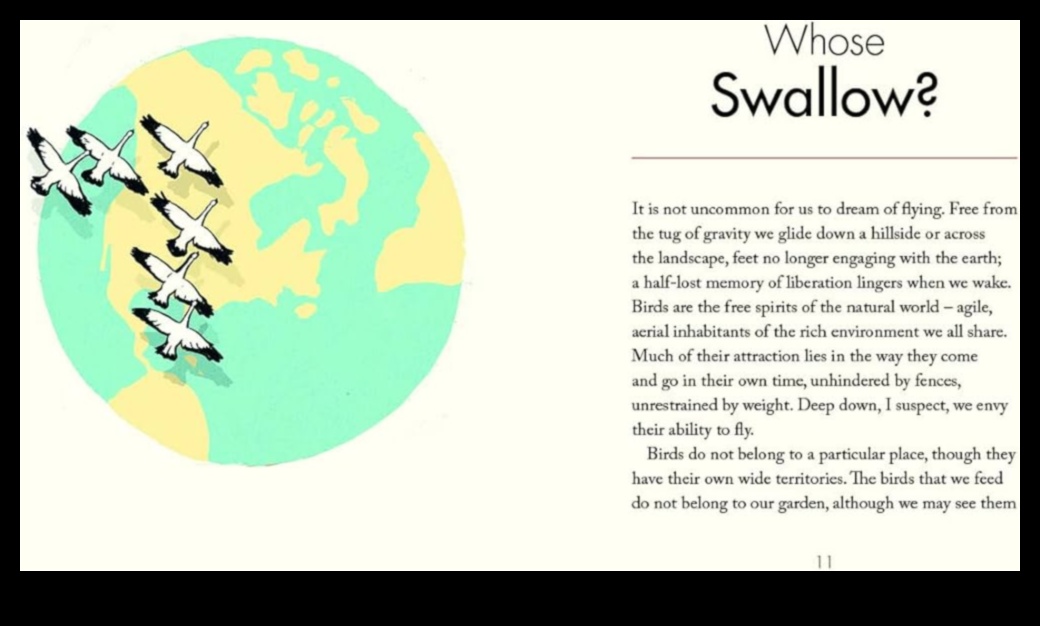 מיינדפולנס של צופי ציפורים מציאת שלווה בתצפית בטבע 4 מיינדפולנס של צופי ציפורים: מציאת שלווה בתצפית בטבע