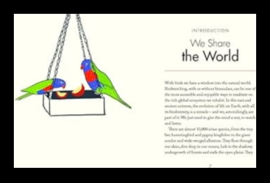 מיינדפולנס של צופי ציפורים מציאת שלווה בתצפית בטבע 3 מיינדפולנס של צופי ציפורים: מציאת שלווה בתצפית בטבע