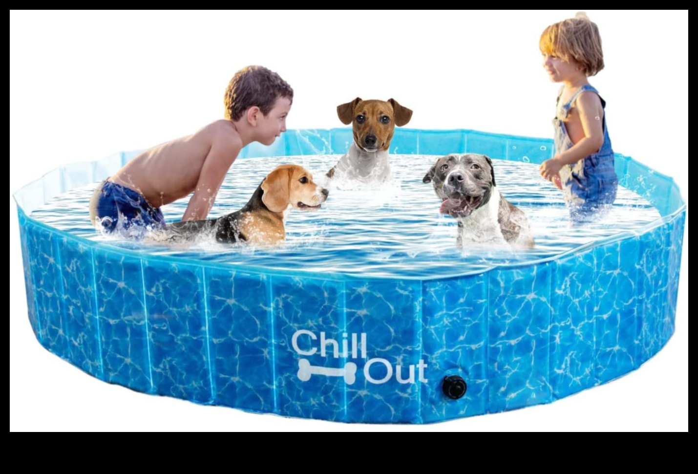 Puppy Pool Paw-ty המשיך להתקרר עם 5 משחקי המים האלה לכלבים 3 Puppy Pool Paw-ty המשך: הוספת משחקי מים לכלבים
