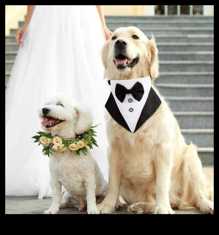 Doggy Dapper: אביזרים יוקרתיים לכלב הלבוש היטב