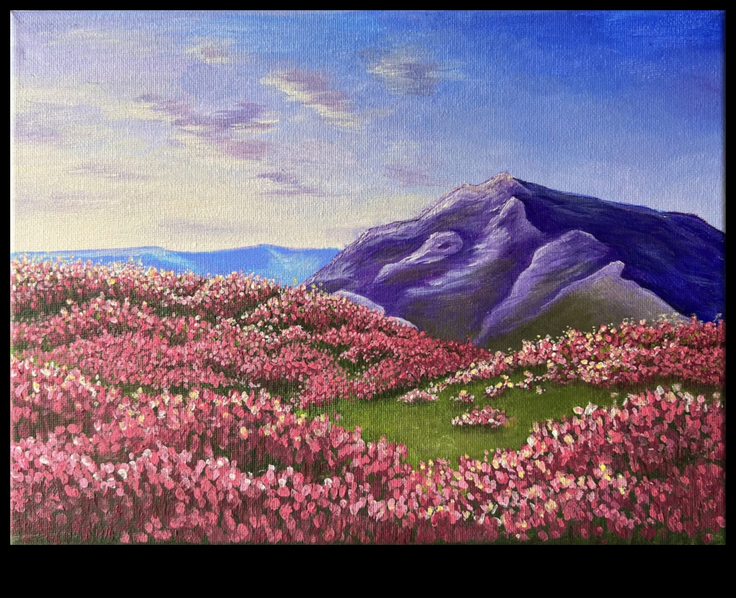 שלמות יצירה: שליטה באמנות היפה של שיפור התמונה