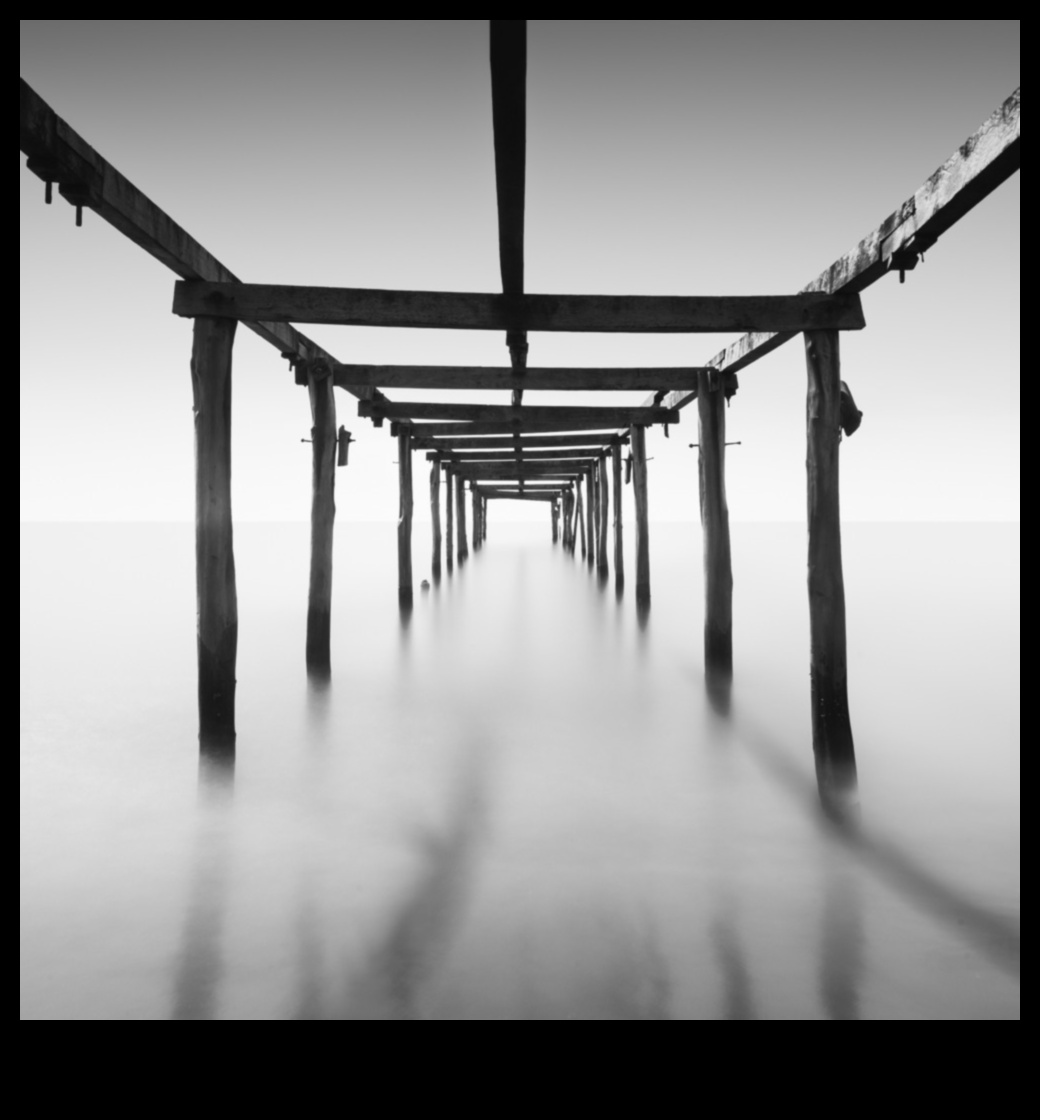 Minimalist Marvels: שליטה בפשטות בצילום