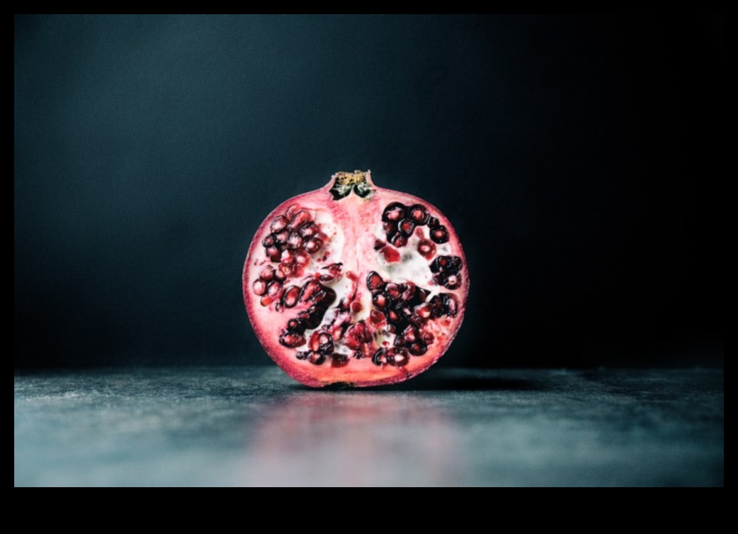 Minimalist Marvels: שליטה בפשטות בצילום