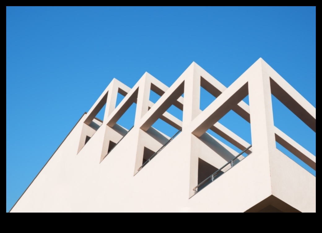 Minimalist Marvels: שליטה בפשטות בצילום