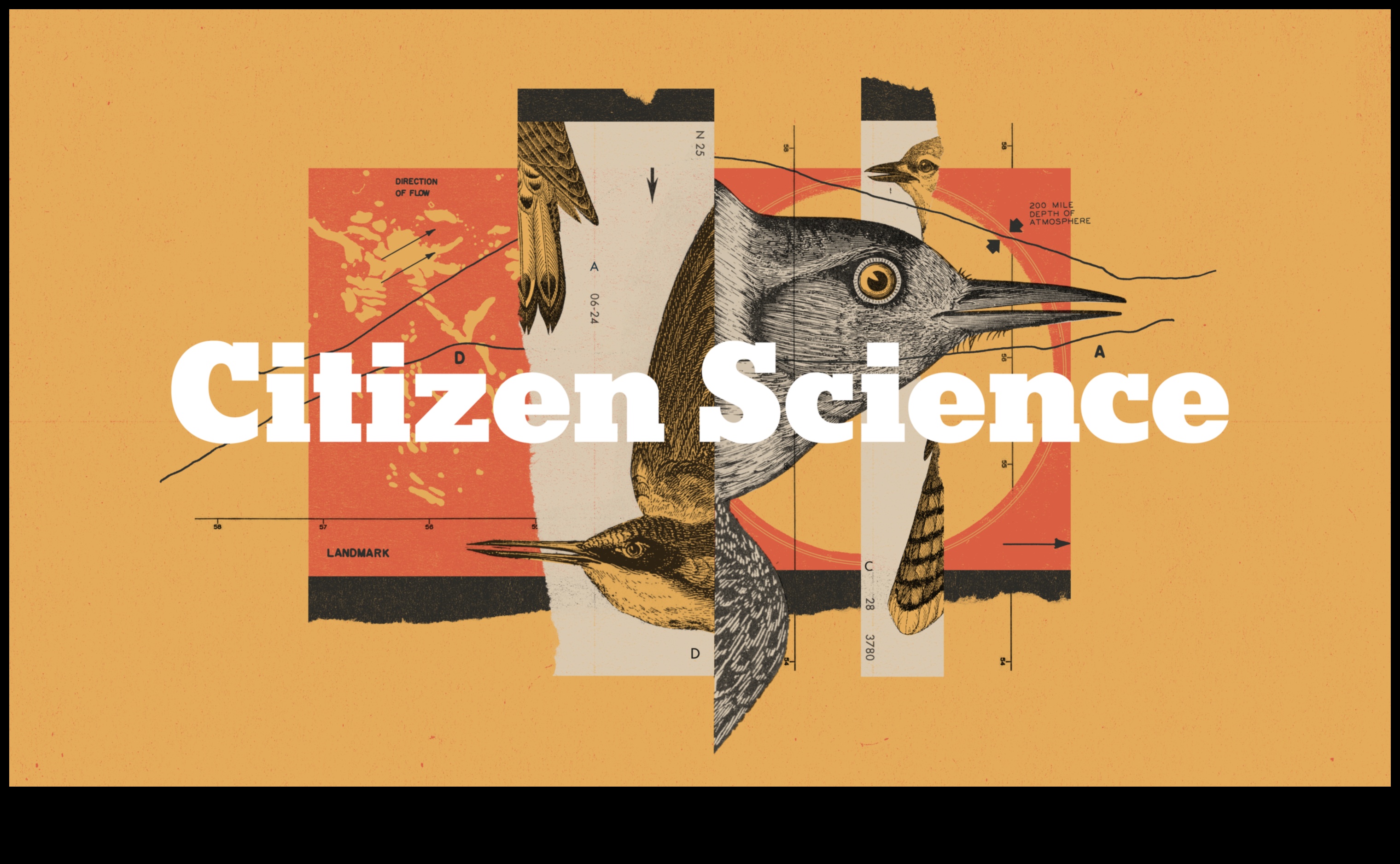 המשך אפליקציות לצפרות: מקסום את חוויית הצפייה בציפורים