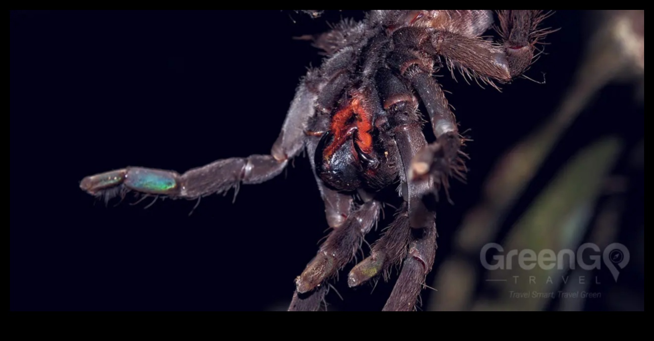 כרוניקות של מפגש קרוב: טבילה בתענוגות צילום מאקרו