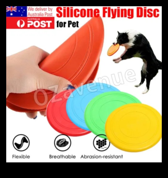 DIY Doggy Discs: יצירת פריסבי בשביל כיף בחוץ