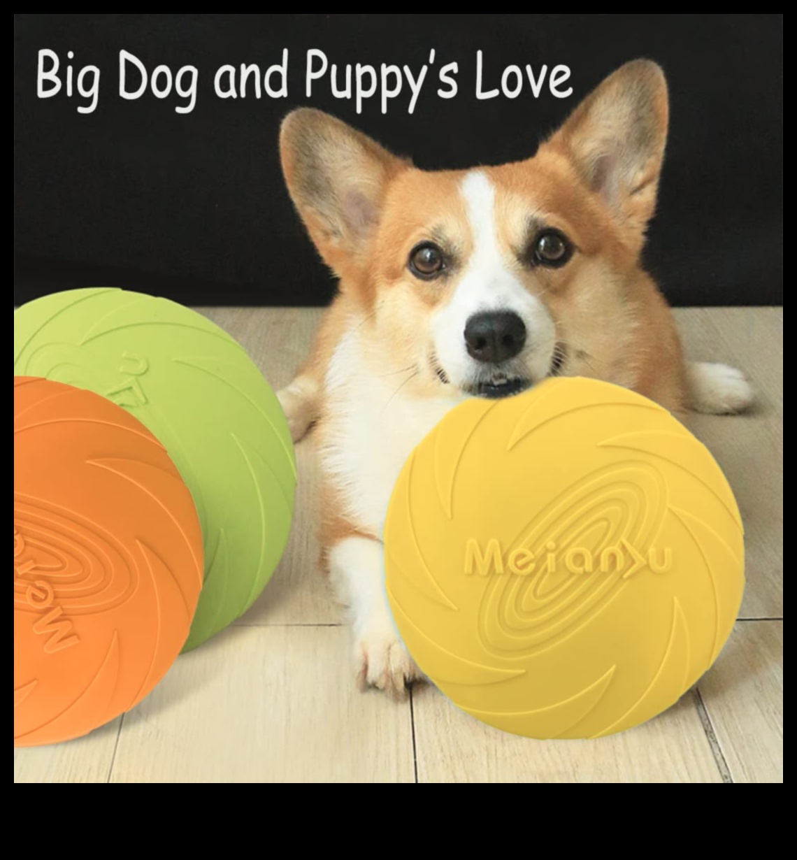 DIY Doggy Discs: יצירת פריסבי בשביל כיף בחוץ