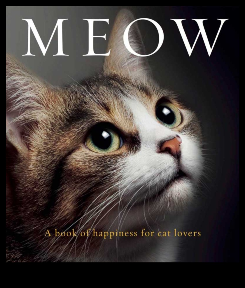 מוטיבציית מיאו: שמירה על החתול שלך שמח ומרוצה