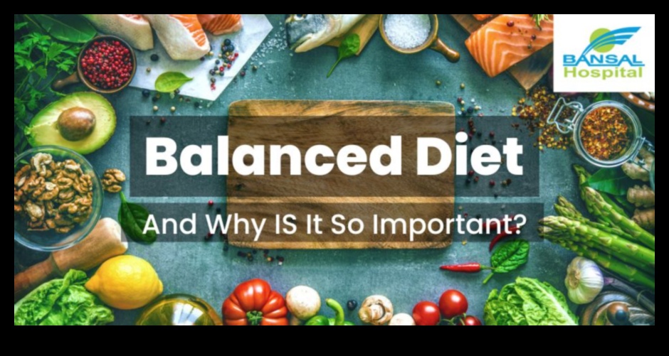 הצלחת הצבעונית: מדריך חזותי לתזונה מאוזנת