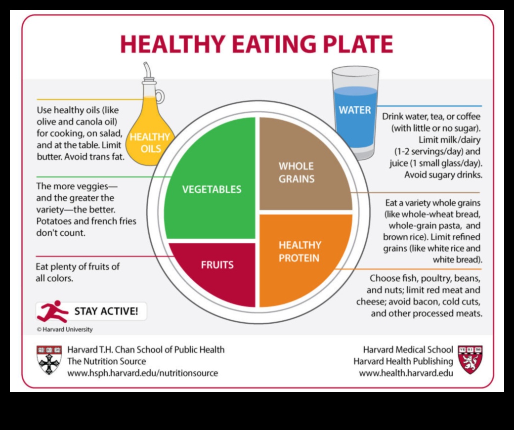 הצלחת הצבעונית: מדריך חזותי לתזונה מאוזנת