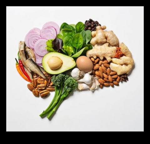 היתרונות של דיאטות דלות שומן לבריאות המוח