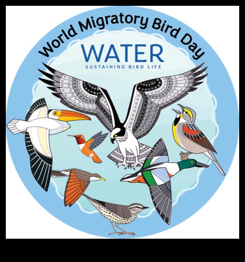 מפגש עולמי: חוגגים את ימי הציפורים הבינלאומיים