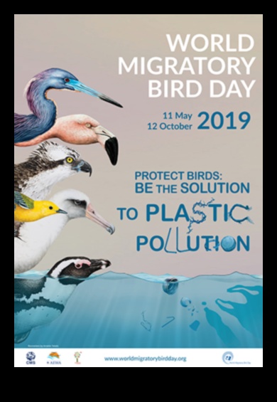 מפגש עולמי: חוגגים את ימי הציפורים הבינלאומיים