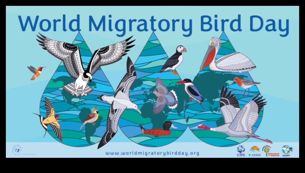 מפגש עולמי: חוגגים את ימי הציפורים הבינלאומיים