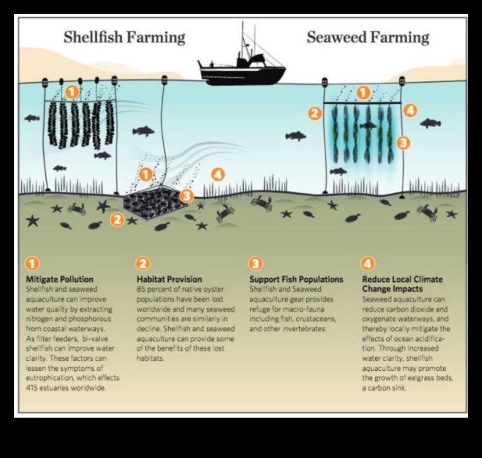 חקלאות מים בת קיימא: פרקטיקות אחראיות בגידול דגים