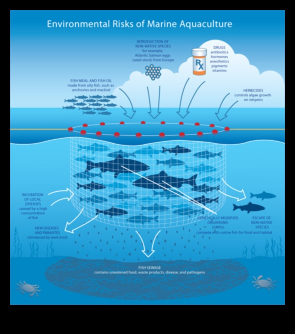 חקלאות מים בת קיימא: פרקטיקות אחראיות בגידול דגים