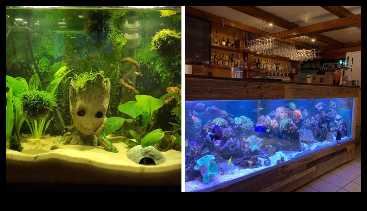 דגים בסגנון חופשי: קישוט מאולתר לאקווריומים