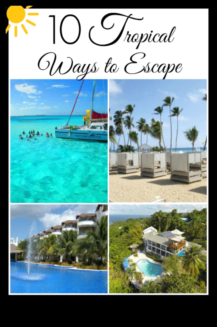 עיצוב חדר שינה טרופי עבור איילנד ויבס