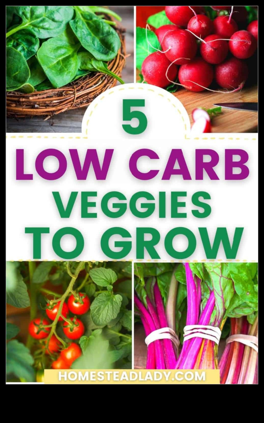 העלייה של דיאטות דלות פחמימות מבוססות צמחים: שינוי פרדיגמה