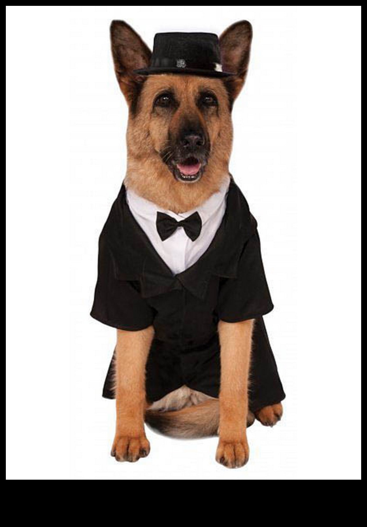 Dapper Doggies: ביגוד ואביזרים לחיות מחמד עשה זאת בעצמך