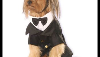 Dapper Doggies: ביגוד ואביזרים לחיות מחמד עשה זאת בעצמך