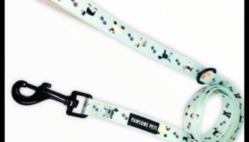 Doggy Dapper: אביזרים יוקרתיים לכלב הלבוש היטב