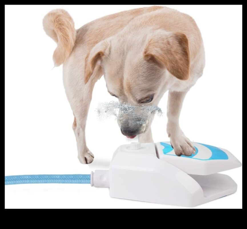 Puppy Pool Paw-ty המשך: הוספת משחקי מים לכלבים