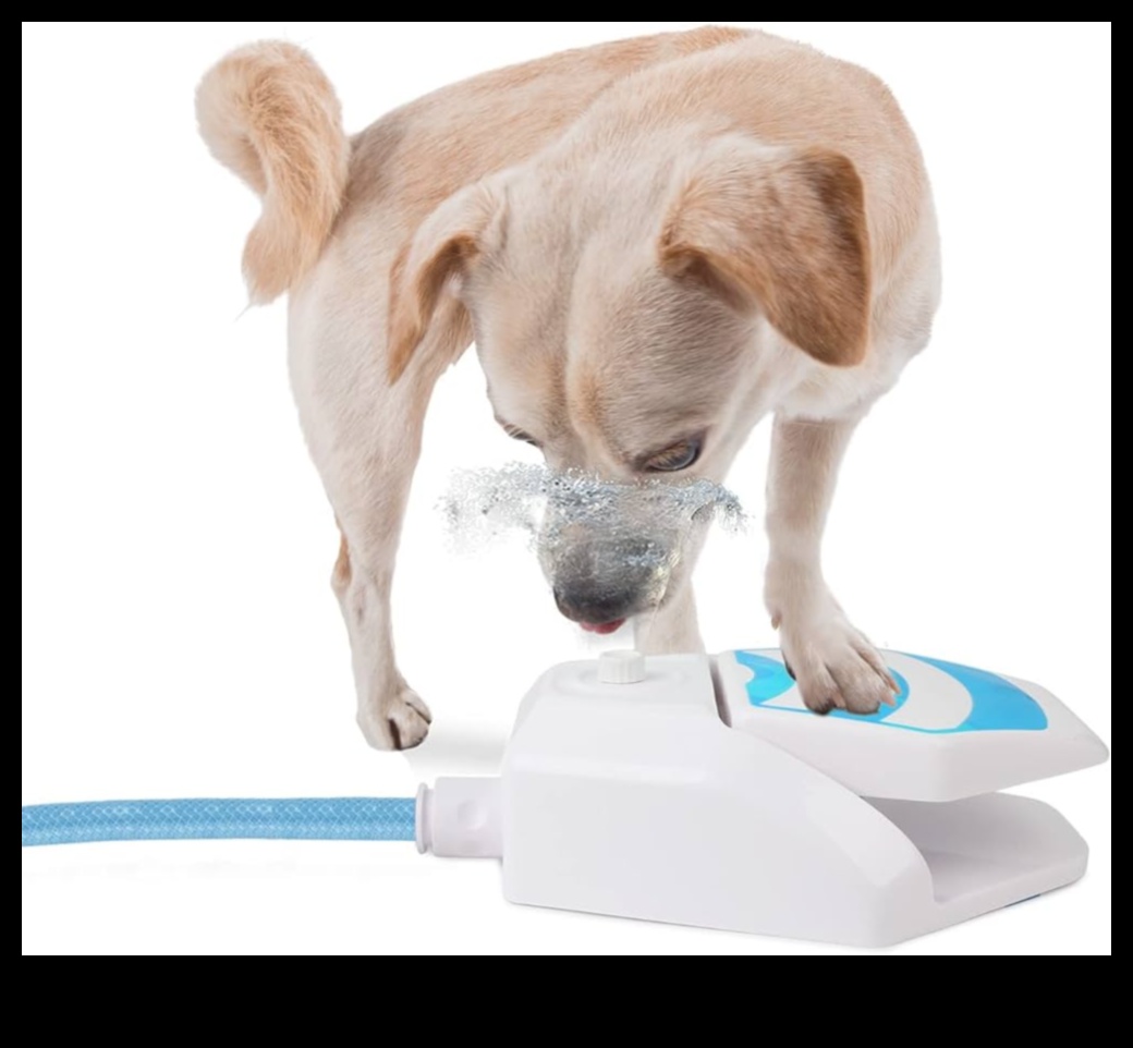 Puppy Pool Paw-ty המשיך להתקרר עם 5 משחקי המים האלה לכלבים 1 Puppy Pool Paw-ty המשך: הוספת משחקי מים לכלבים