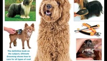 אמנות הטיפוח: מדריך מסוגנן לטיפול בכלבים