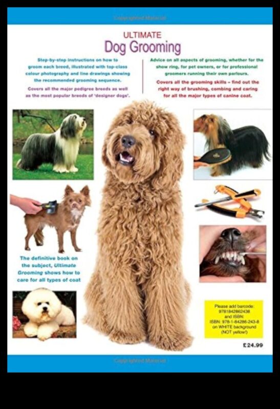 אמנות הטיפוח: מדריך מסוגנן לטיפול בכלבים