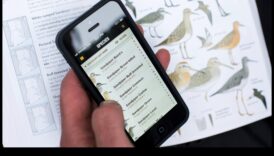 אפליקציות צפרות המשיכו למקסם את חווית הצפייה האינדיבידואלי שלך בציפורים 2 המשך אפליקציות לצפרות: מקסום את חוויית הצפייה בציפורים