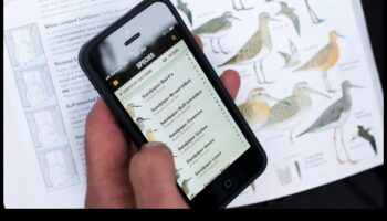 המשך אפליקציות לצפרות: מקסום את חוויית הצפייה בציפורים