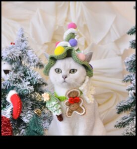 Whisker Wonderland: יצירת חג המולד ידידותי לחתולים