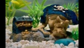 דגים בסגנון חופשי: קישוט מאולתר לאקווריומים