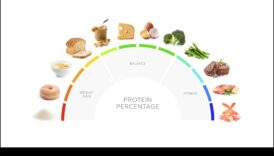 המדריך האולטימטיבי לדיאטות עתירות חלבון: מה שאתה צריך לדעת