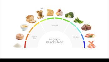 המדריך האולטימטיבי לדיאטות עתירות חלבון: מה שאתה צריך לדעת