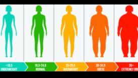 השפעת הגנטיקה על התגובה שלך לדיאטות עלייה במשקל