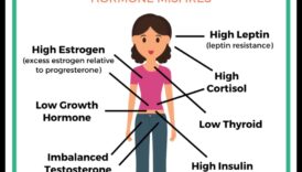 מחסור יציבות הורמונלי הגורם הסמוי לעלייה במשקל 4 הקשר בין חוסר איזון הורמונלי לדיאטות עלייה במשקל