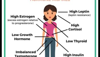הקשר בין חוסר איזון הורמונלי לדיאטות עלייה במשקל