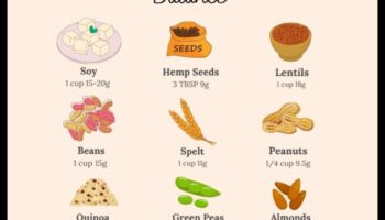 דיאטות עתירות חלבון וויסות הורמונים: השקפה הוליסטית