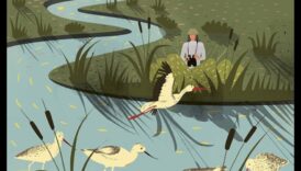 מיינדפולנס של צופי ציפורים: מציאת שלווה בתצפית בטבע