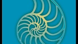 מסע פנימה: ספרים מובילים לחוויית מדיטציה עמוקה