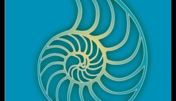 מסע פנימה: ספרים מובילים לחוויית מדיטציה עמוקה