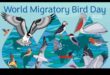 מפגש עולמי: חוגגים את ימי הציפורים הבינלאומיים