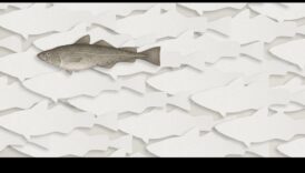 Fishonomics 101: כיצד דגים תורמים למערכות אקולוגיות