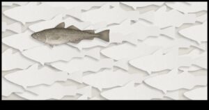 Fishonomics 101: כיצד דגים תורמים למערכות אקולוגיות