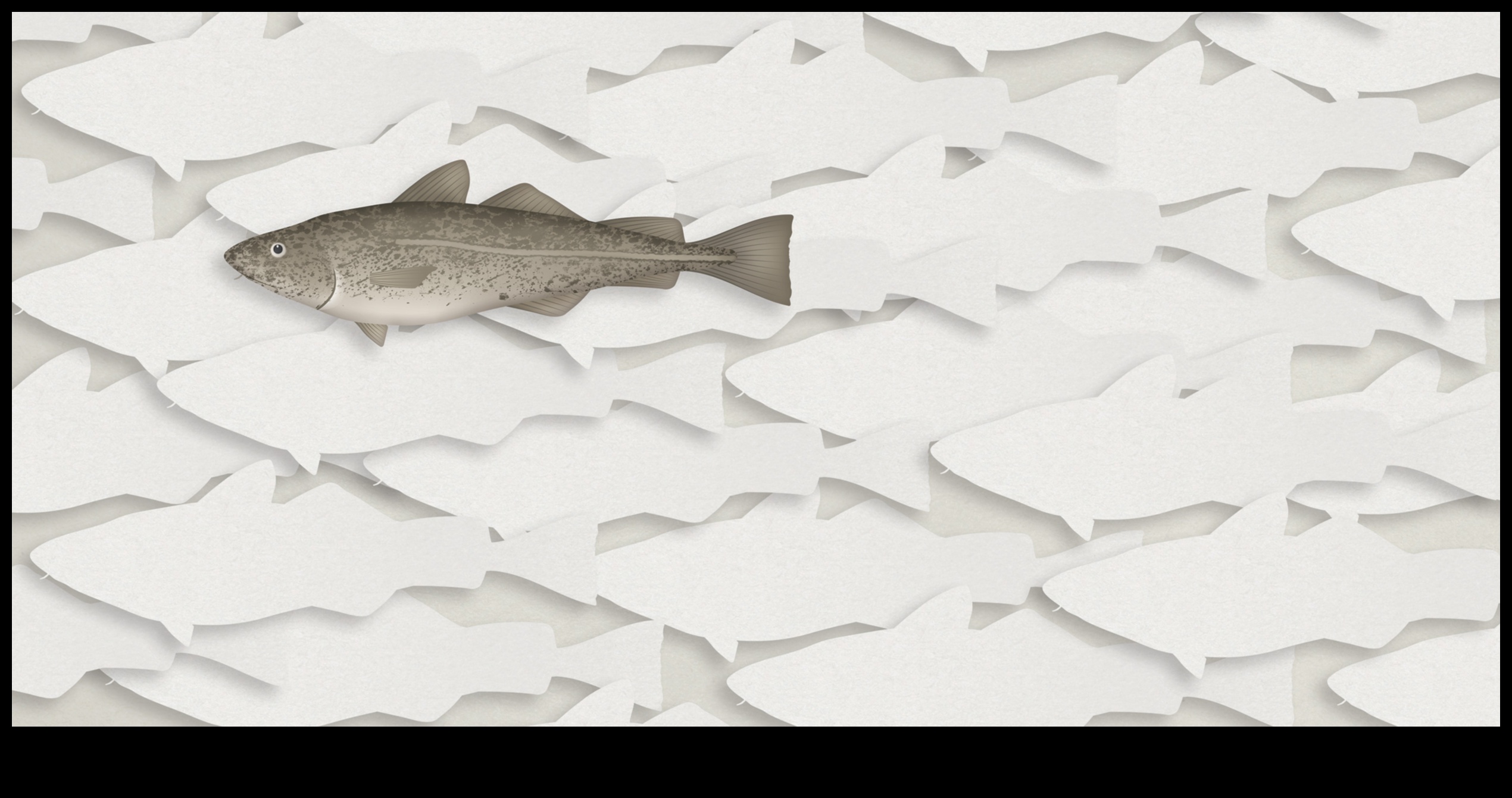 Fishonomics 101: כיצד דגים תורמים למערכות אקולוגיות