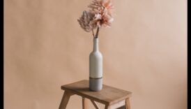 Minimalist Marvels: שליטה בפשטות בצילום